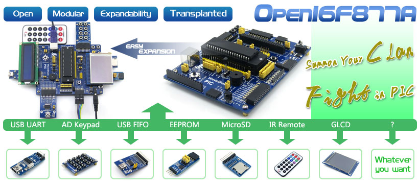 PIC16F877A development board