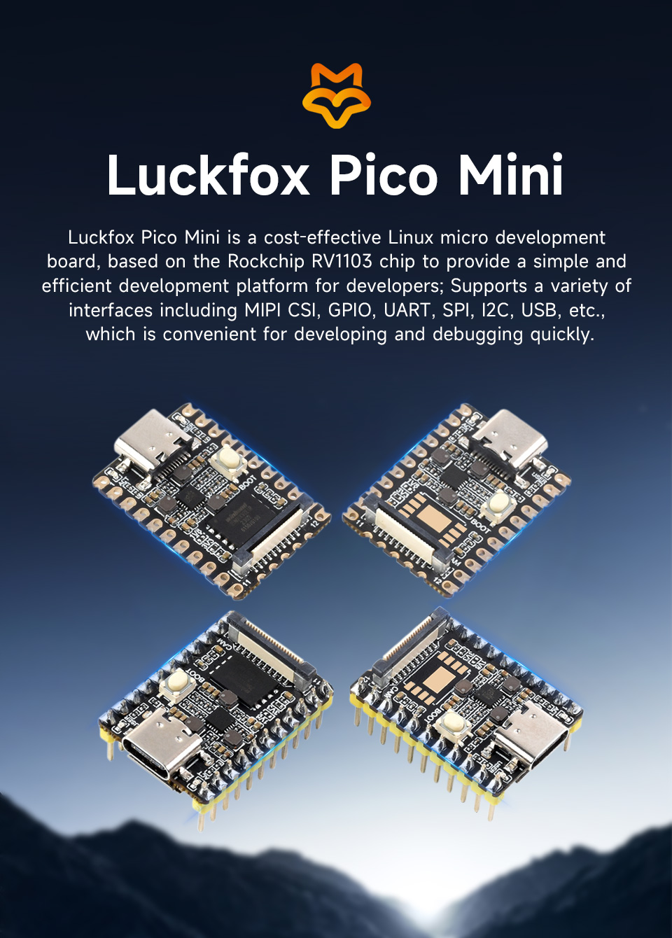 Luckfox-Pico-Mini-details-1.jpg