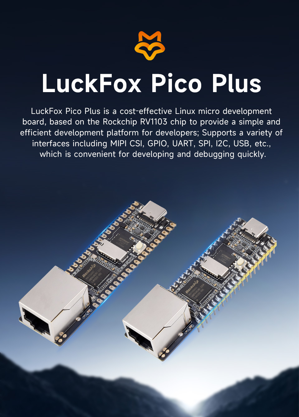 Luckfox-Pico-Plus-details-1.jpg