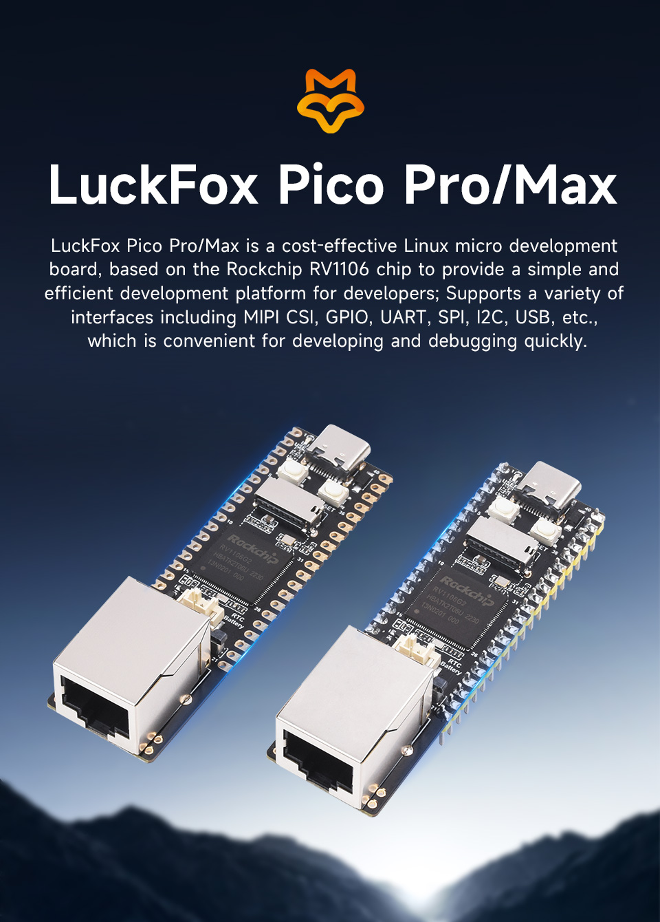 Luckfox-Pico-Pro-details-1.jpg