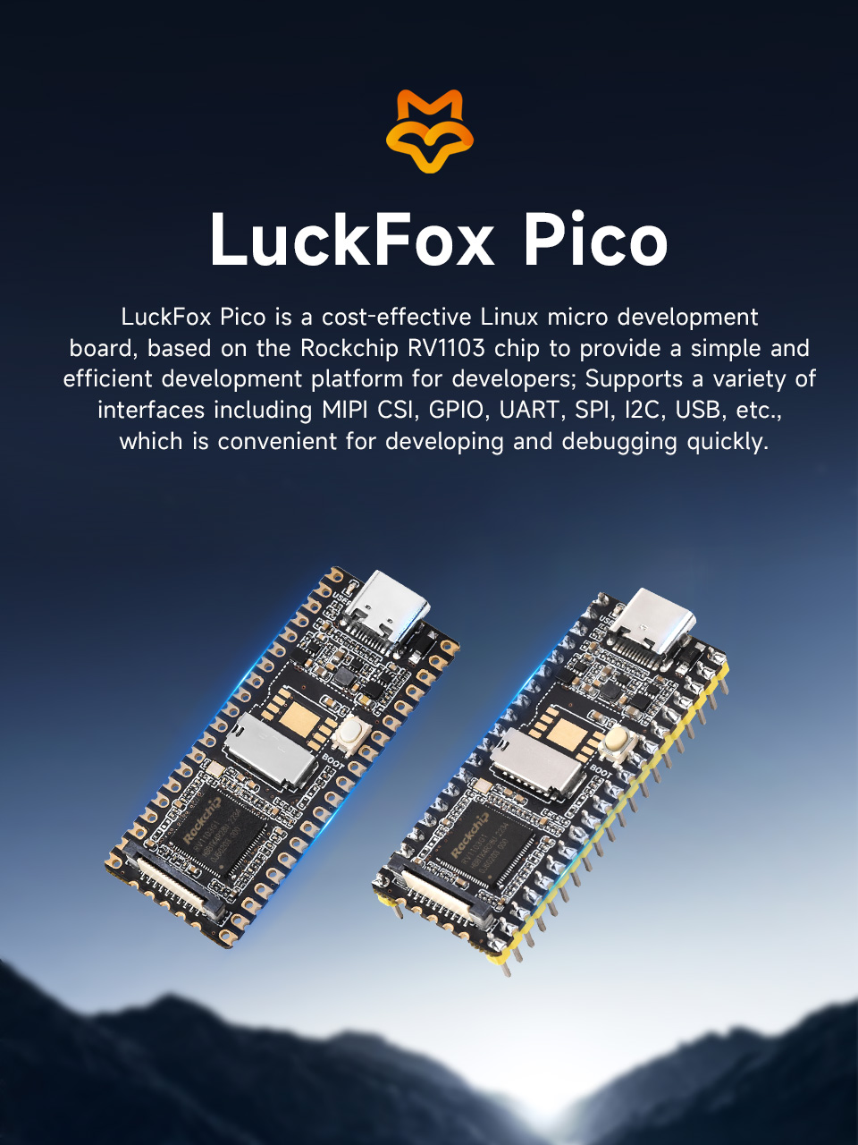 Luckfox-Pico-details-1.jpg