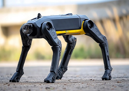 10-axis ROS IMU Sensor, application scenarios in Quadruped Robotic Dog